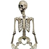 Halloween Props Halloween Party 3 Ft Human Skull Skeleton DIY Decoration Ornaments Supplies Haunted...
