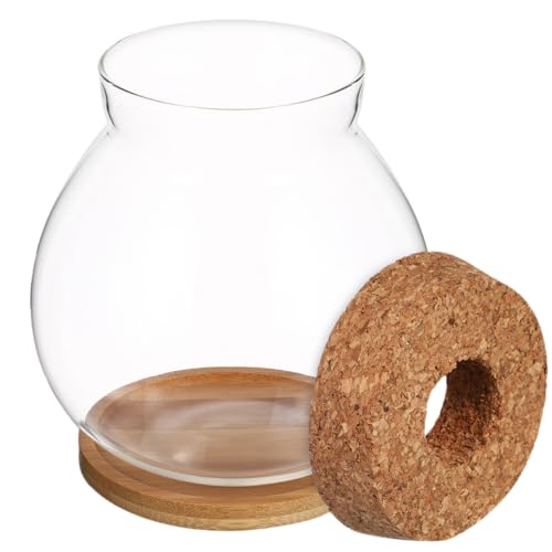 BUGUUYO Hydroponisches Aquarium aus Glas Fischglas Aquarium für Betta-Fische kleines Fischterrarienbecken kleine Fischschale mit Deckel Fischschalen aus Glas Bambus Transparent