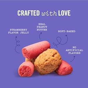 Three Dog Bakery Soft Baked PB&J Bites, Peanut Butter & Strawberry Flavor, Premium Treats for Dogs, 13 Ounce Box, brown (320035) Three Dog Bakery Soft Baked PBJ Bites Peanut Butter Strawberry Flavor Premium Treats for Dogs 13 Ounce Box brown 320035