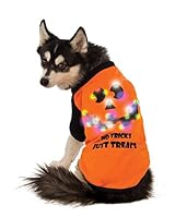 Algopix Similar Product 4 - Rubies LED LightUp Halloween Dog