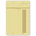 CheckSimple Finance Accounting & Ledger Cards - 36# Stock - Double-Sided - Up to 36 Entries (250 Qty)