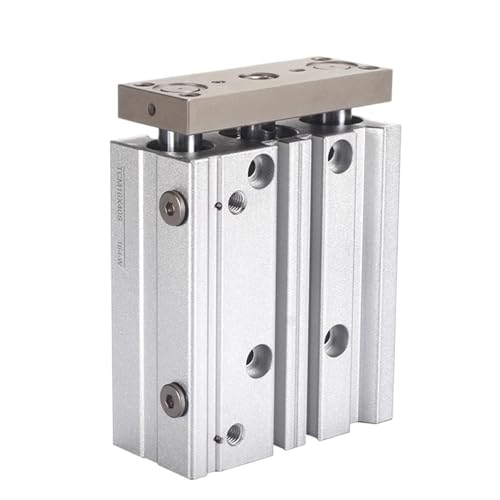 Cylindre à air guidé anti-torsion TCM12-60-S avec amortisseur intégré