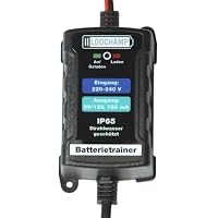 LODCHAMP 146303 Battery Trainer 6 V/12 V-750 mAh IP65 Wartungsladegerät Batterieladegerät Wartungsladegerät für Auto, Motorrad, Quad, ATV, Boot, Silber – Ansicht 2
