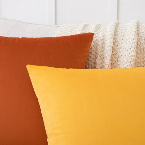 Image of Mixhug Decorative Throw Pillow Covers, Velvet Cushion Covers, Solid Throw Pillow Cases for Couch and Bed, Burnt Orange, 26 x 26 Inches, Set of 2