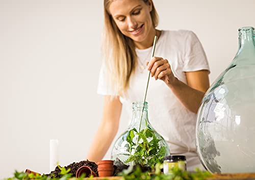 Esschert Design Green Terrarium Bottle Planter #TOP26