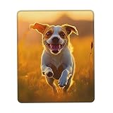 Utilisation polyvalente : idéal pour les jeux et les environnements de bureau, ce tapis de souris est parfait pour une utilisation avec des ordinateurs portables, ordinateurs de bureau et autres appareils informatiques.