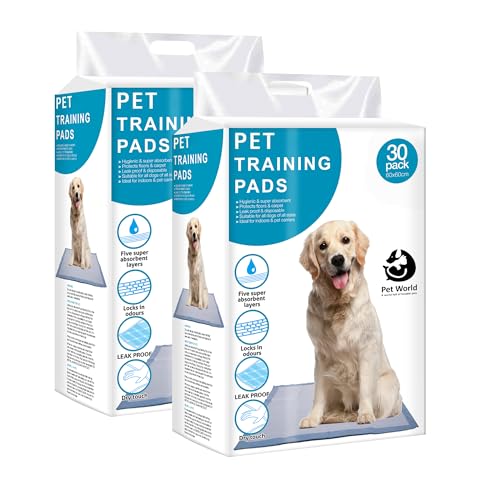 Image of Pet World Training Pads, with Odor Lock Technology & Super Absorbent Pee Pads, Leak-Proof Dog Potty Training Pads for Puppies, Dogs,Cats & Rabbits (60 X 60 cm) Pack of 2(30 Pcs Each)
