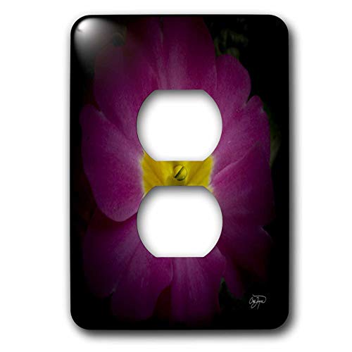 3dRose LLC lsp_49713_6 Purple Passion Flower with Warm Yellow Center, 2-Plug Outlet Cover