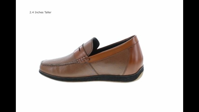 Amazon.com | CALTO Men display picture 1