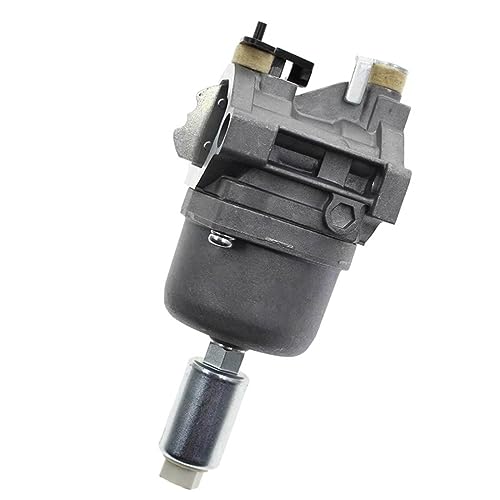 Carburateur Briggs Stratton 793224 évite les fuites d'essence de tracteur tondeuse