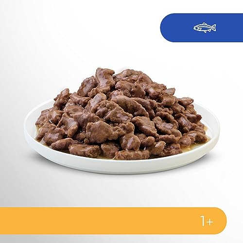 PERFECT FIT™ Katze Portionsbeutel Sensitive mit Lachs 12 x 85g
