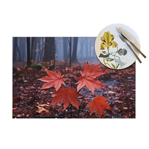 Sets de table en PVC 30x45 cm lavables et résistants pour la table - 6