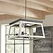 Briarwood Collection 4-Light Coastal Chandelier Light Graphite