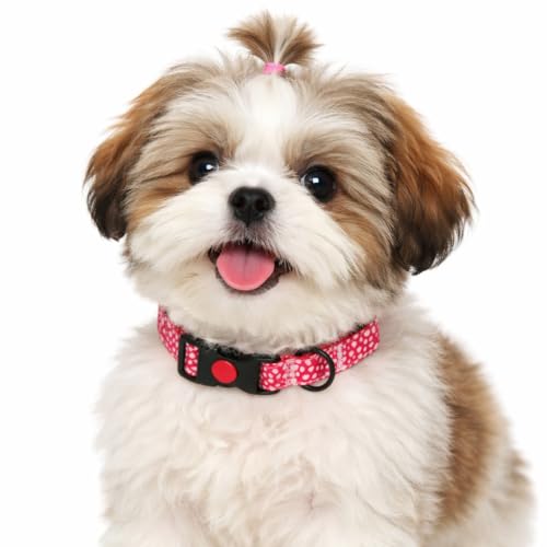 Image of Emily Pets Dog Collar with Safety Locking Buckle, Adjustable Soft Breathable Comfortable Nylon Pet Collar for Small, Medium Dog and Puppy (Color May Vary)
