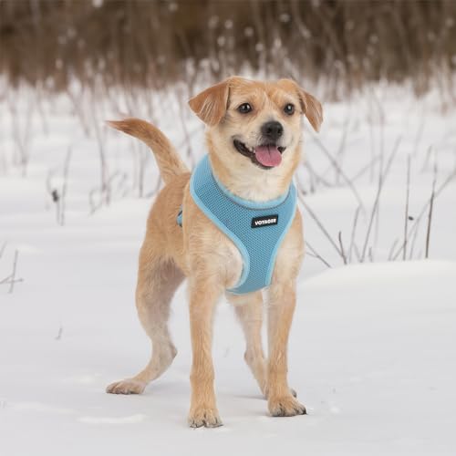 Image of Voyager Aerolite Over The Head Dog Harness, No Pull Breathable Air Mesh Vest, Quick Dry with Reflective Stitching, Adjustable Escape Resistant Harness for Small Medium Large Dogs - Blue, Medium