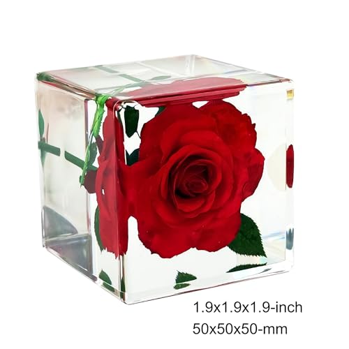 Image of Nature Plant Flower Rose Specimen in Resin Preserved, Science Educational Classroom Specimens, Clear for Closer-Look & Study. Novelty Crafts Decor Ornament, Amazing Unique Gift (Cube 1.9x1.9x1.9-inch)