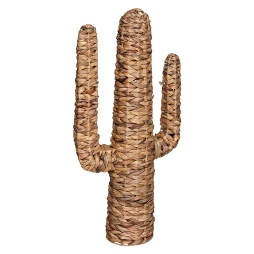 Atmosphera - Cactus Hacienda - Jacinthe d'eau H75 cm