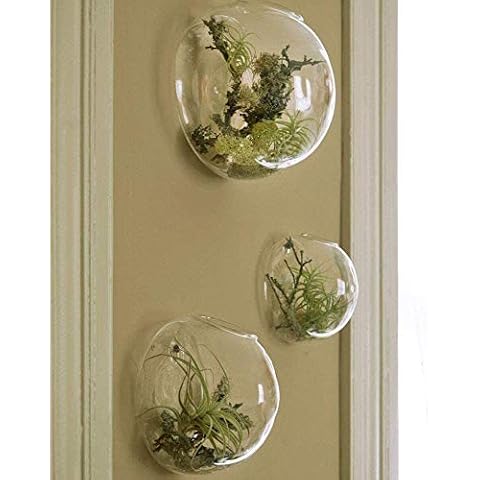 Set of 3 Wall Hanging Terrariums Indoor Plants Holders Wall Glass Vase for Flowers Planters for Succulents Air Plants Wall Mounted Decoration for Sunroom Living Room Cover