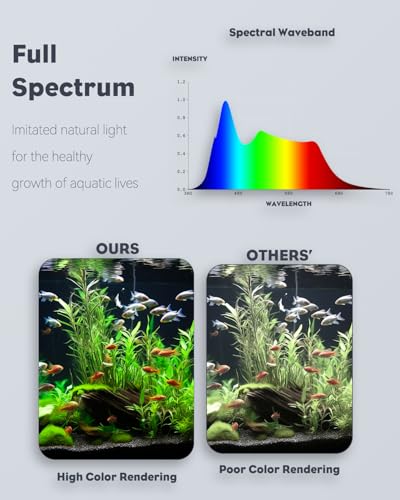 Pawfly 6 W LED Aquarium Licht für 3,8 L-38 L Aquarien Anklipsen Aquarium USB Mobil Aquarium Lampe mit Vollem Spektrum Dimmbar Weiß Blau Rot Grün Lichter mit Timer (Adapter nicht enthalten)