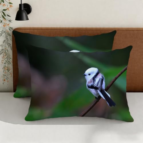 Parure de lit oiseaux pour une chambre nature housse couette 200x200 chic