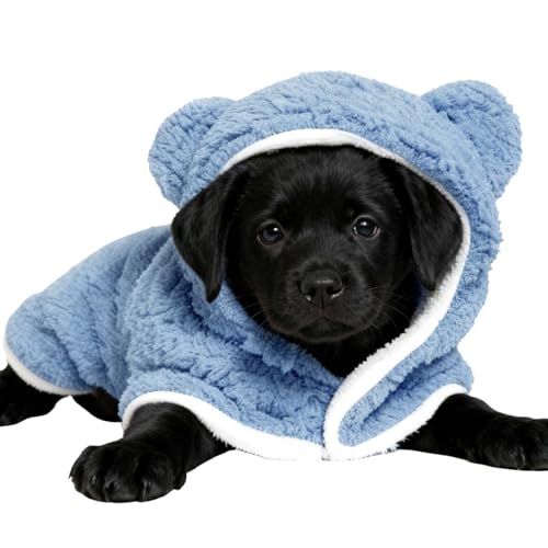 LpuPbg - gR[gWPbgJo[ - ybgR[gP[v | ^^^qqL`~NX}Xp