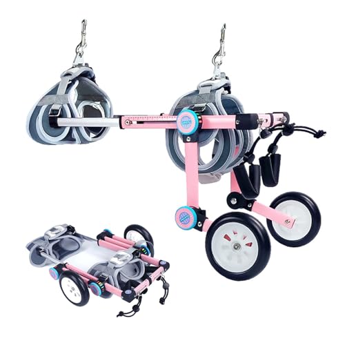 Silla de ruedas para perros: regálale la libertad de caminar con este carrito 2