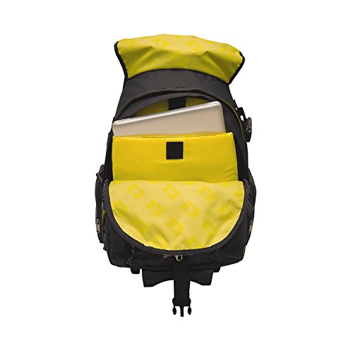 Ape Case, Acpro2000, Large Backpack, Laptop Compartment, Padded, Rain Cover Included, Adjustable Straps, Camera Backpack, Equipment Bag, Black (Acpro2000) #TOP5