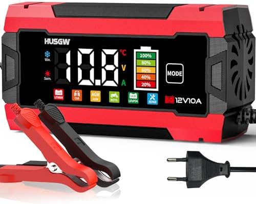12V/24V 10A/5A Batterieladegerät mit Farbdisplay,für Auto/Motorrad (Rot 10) | mit Temperaturkompensation,6-Fach Schutz,für Blei(6AH-180AH(12V), 6AH-90AH(24V)),AGM,LiFePO4,Li-Ion (N