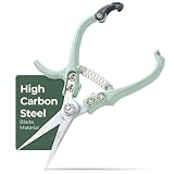 Modern Sprout Pruning Shears