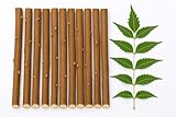 Ayurvedic Natural Organic Neem Datun, Manual Toothbrush Half Dried Nim Tree Twigs Chew Sticks for Brushing Teeth Removes Bad Breath, Relieve Tooth Ache (5to7 inch)- for Adults,Pack of 10 /Free 1 Piece