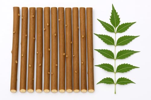 Ayurvedic Natural Organic Neem Datun, Manual Toothbrush Half Dried Nim Tree Twigs Chew Sticks for Brushing Teeth Removes Bad Breath, Relieve Tooth Ache (5to7 inch)- for Adults,Pack of 10 /Free 1 Piece