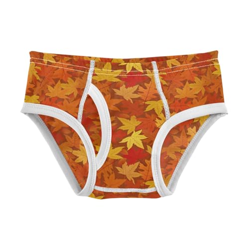 Boys' Exclusive Briefs Toddler Underwear 95% Combed Cotton Boxerbriefs 2T Autumn Leaf Pattern 7