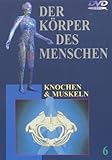 Der K????rper des Menschen 6 - Knochen und Muskeln