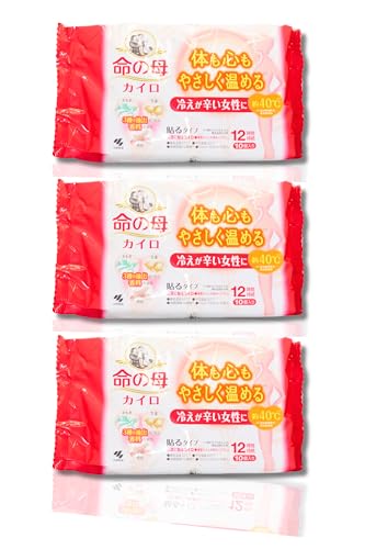 ̕ JC \^Cv 10 \ 12 ₦h ̂S₳߂ y×3z