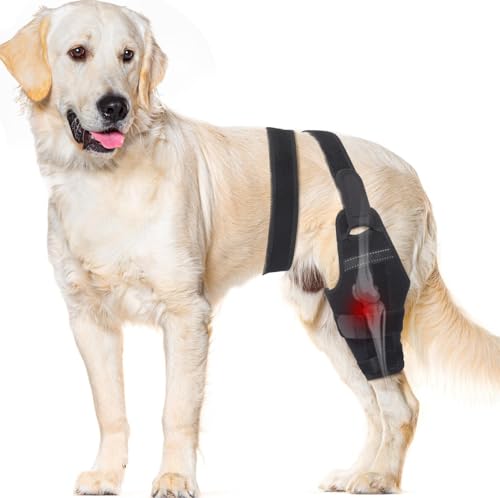 GoGoPaw pGT|[^[ 􂩂ꂽAcl ㎈p ? 2̃X^rCU[T|[gt߉\ȃT|[gu[X ɂ݁AxёAGW̒oɂy ^  ^(rAL)