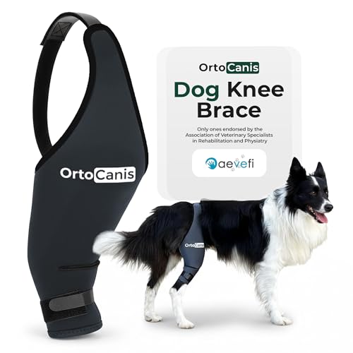 Ortocanis Dog Knee Brace for Hind Leg Support – Flexible Neoprene Knee Brace for Dogs with Joint...