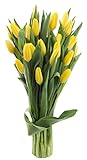 Blooms2Door PRIME NEXT DAY DELIVERY - 20 Yellow Tulips .Gift for Birthday, Sympathy, Anniversary, Get Well, Thank You, Valentine, Mother’s Day Fresh Flowers