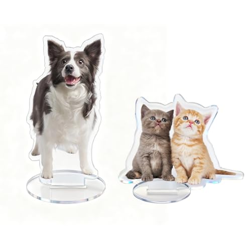 Youdian Soporte acrílico personalizado, placa de foto personalizada con foto de mascota/familia, regalo para seres queridos