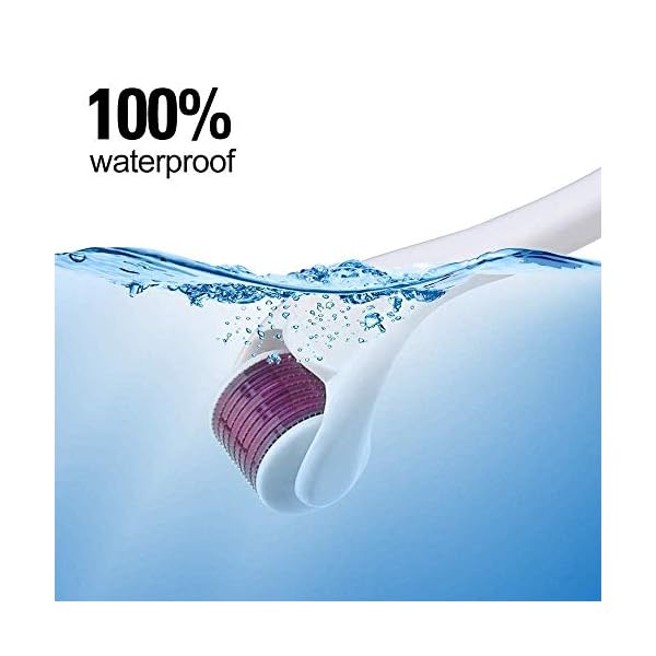 RadBizz Derma Roller and Storage Case - 0.25mm