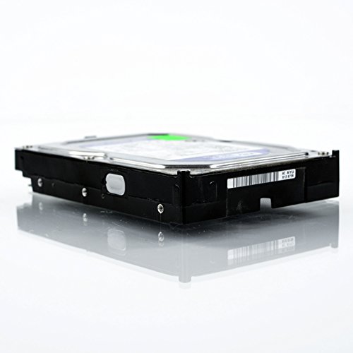 WD WD3200AAKX Blu Hard Disk Desktop da 320 GB, 7200 RPM, SATA 6 GB/s, 16 MB Cache, 3.5 " - Hdd - Immagine 4