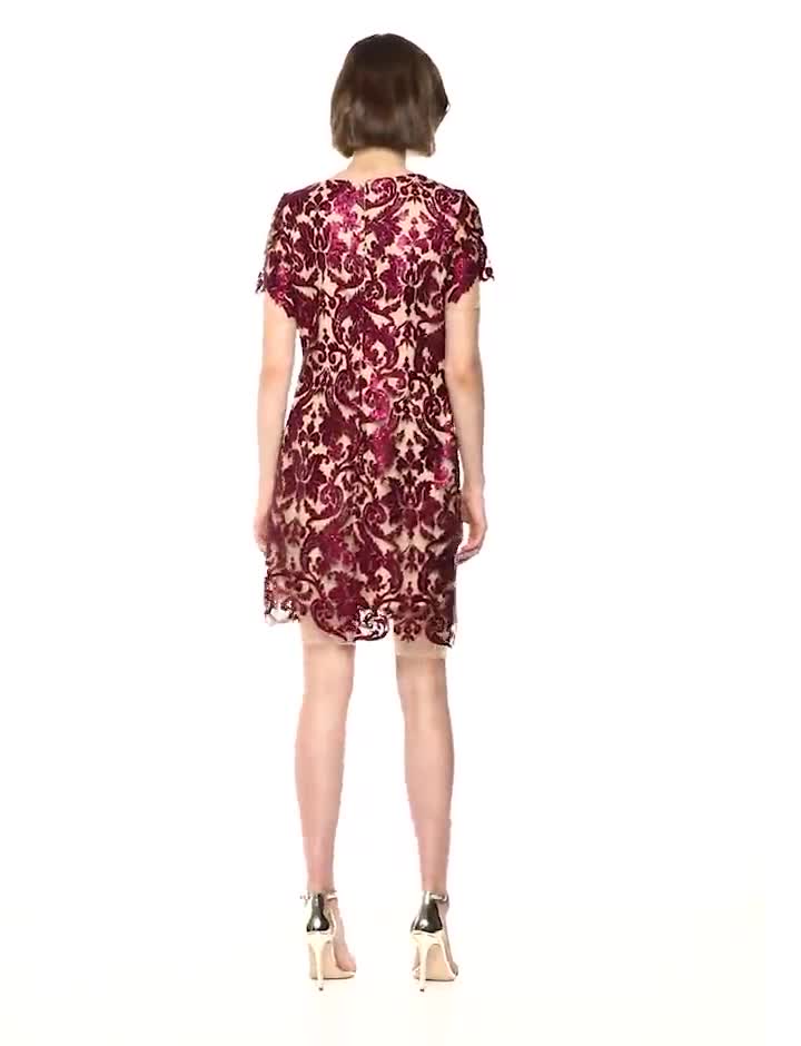 dress the population megan dress Watch Dress the Population Women's Megan Short Sleeve Sequin Lace Mini  Sheath on Amazon Live