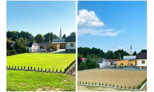 Sport Rasensamen Schnellkeimend Frühjahr 5 kg - Grassamen bis zu 200 m²