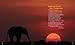 National Geographic Book of Animal Poetry: 200 Poems with Photographs That Squeak, Soar, and Roar! (NGK Poetry)