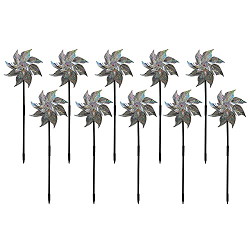 MIGOGO h 悯  ΍ 10 hhb΍ 悯ObY ̊  ˔ JX悯 LL zO JX悯ObY 