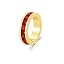 January (Garnet), gold charm