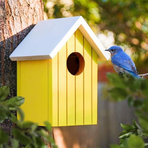 Image of BIRDSHALA Wooden Large Bird House for Sparrow, Budgies, Bulbul, Wild Birds & Pet Birds - Colorful Garden Decorative (Yellow)