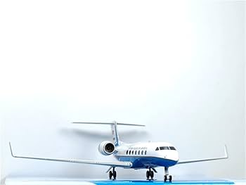 Amazon.com: ACE HOBBY NG Models Gulfstream G550 (C-37B) for US Air