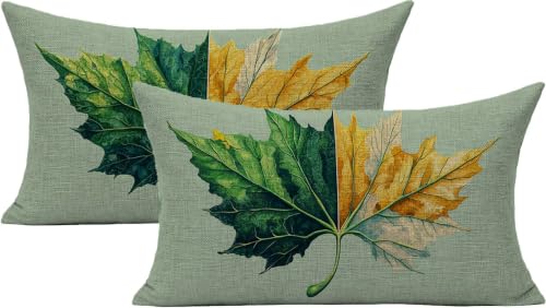 Housse de coussin extérieur imperméable de qualité supérieure imprimé double face