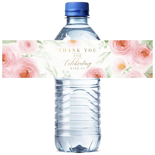 Mobiusea Creation sNt[EH[^[{gx 50 | 8.25C` x 1.97C` TL[EH[^[{gbv S[hzCeLXgt  xr[V[ uC_V[ p[eB[fR[V