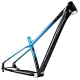DHNCBGFZ 29er Hardtail Mountain Bikes Frame Aluminum Alloy Rigid Bike Frame Thru Axle Frame 12 * 142mm Disc Brake XC Bike Frame BB92 for 160mm Rotor Internal Routing(Blue,L)